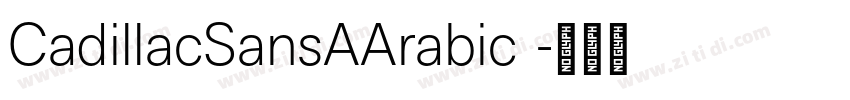 CadillacSansAArabic 字体转换